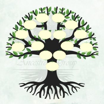 4 generation family tree templates