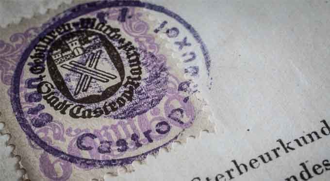 Cuál es mi árbol genealógico