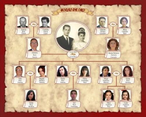 revelación suma esposa Árbol genealógico en México, ¿Cómo encontrar a tus antepasados?