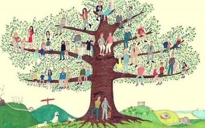 sanar el árbol genealógico
